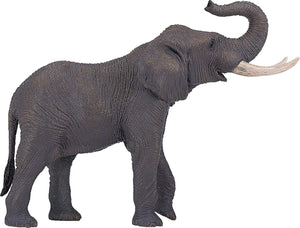 Elephant (trumpeting)