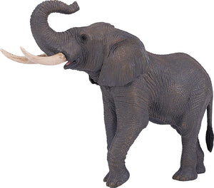 Elephant (trumpeting)