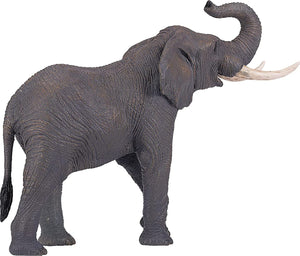 Elephant (trumpeting)