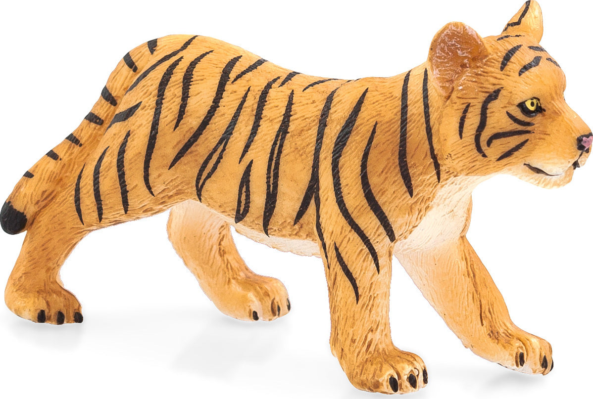 Tiger Cub standing