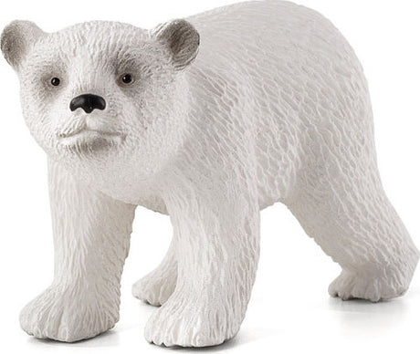 Polar Bear Cub Walking
