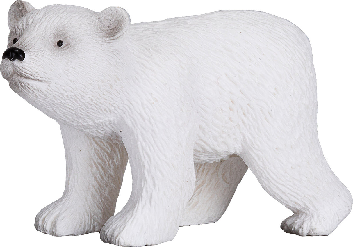 Polar Bear Cub Walking