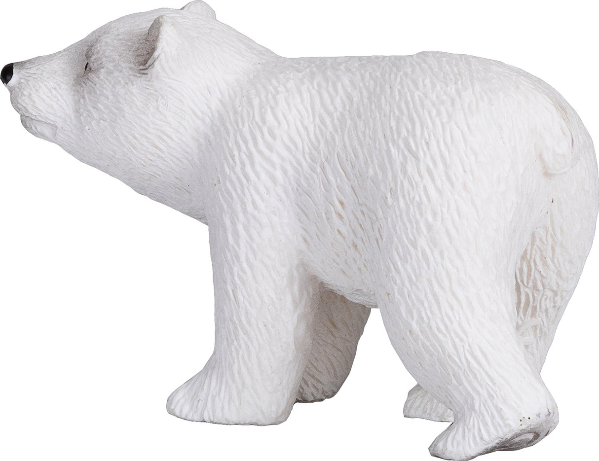 Polar Bear Cub Walking