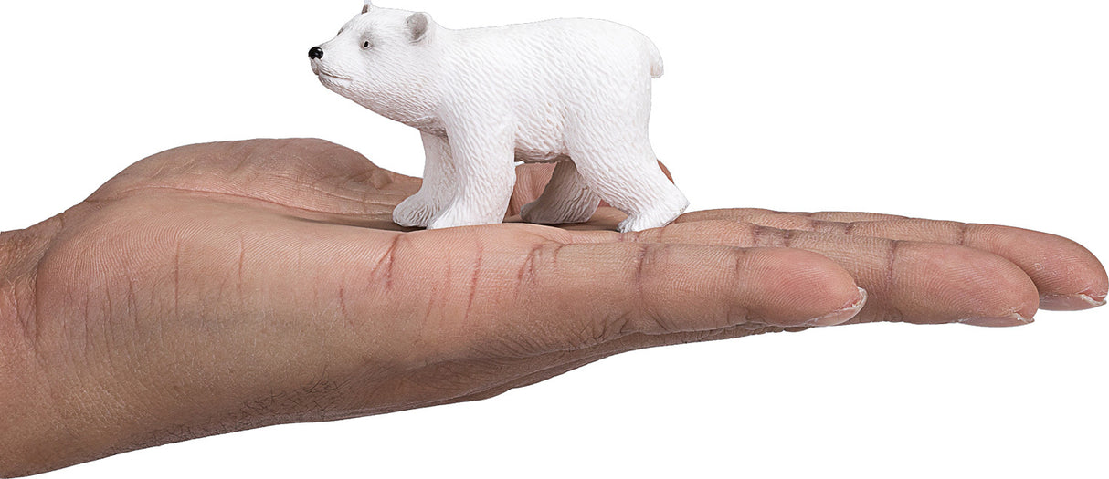 Polar Bear Cub Walking