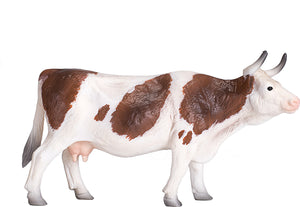 Simmental Cow