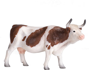 Simmental Cow