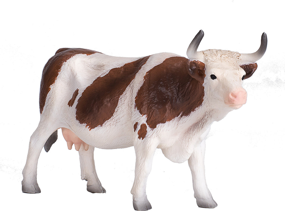 Simmental Cow