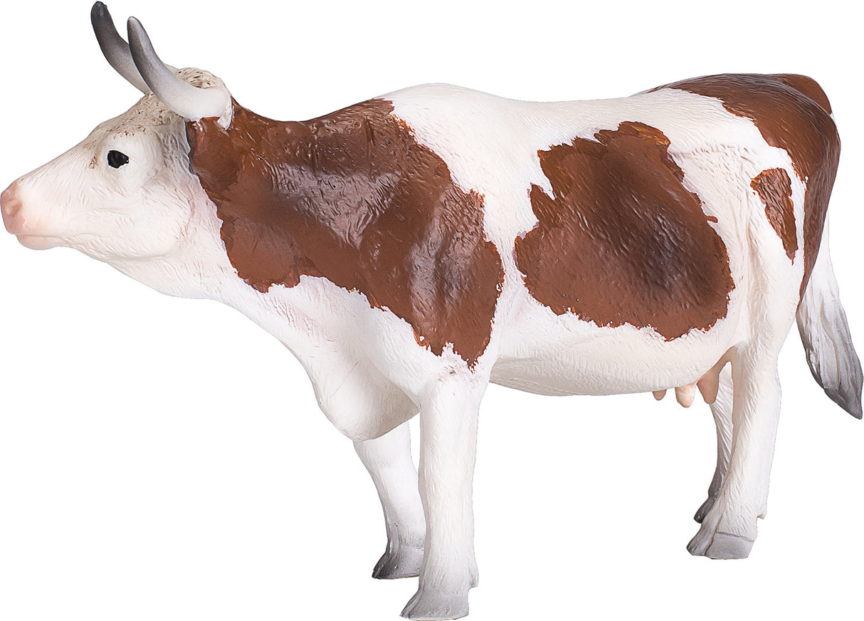 Simmental Cow