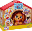 Little Live Pets™ My Puppy's Home™ Building Playset (Tools Included)
