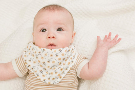 Lulujo Vintage Floral  Dragonfly Bandana Bibs