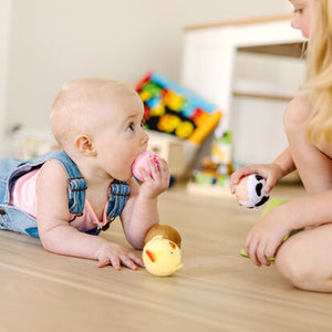 Rollables Farm Friends