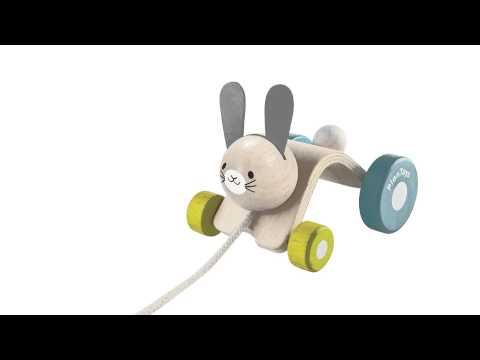 Hopping Rabbit