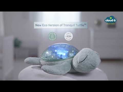 Cloud b Tranquil Turtle