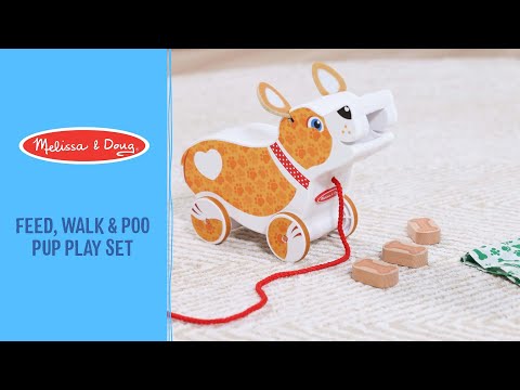 Feed, Walk & Poo Pup Play Set