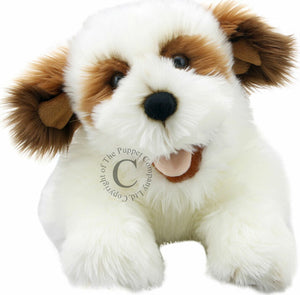 Playful Puppies - Brown & White Puppy