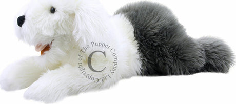 Playful Puppies - Old English Sheepdog