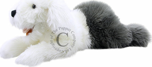 Playful Puppies - Old English Sheepdog