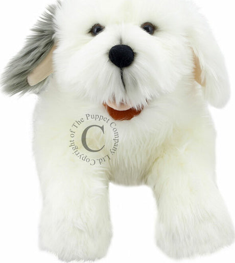 Playful Puppies - Old English Sheepdog