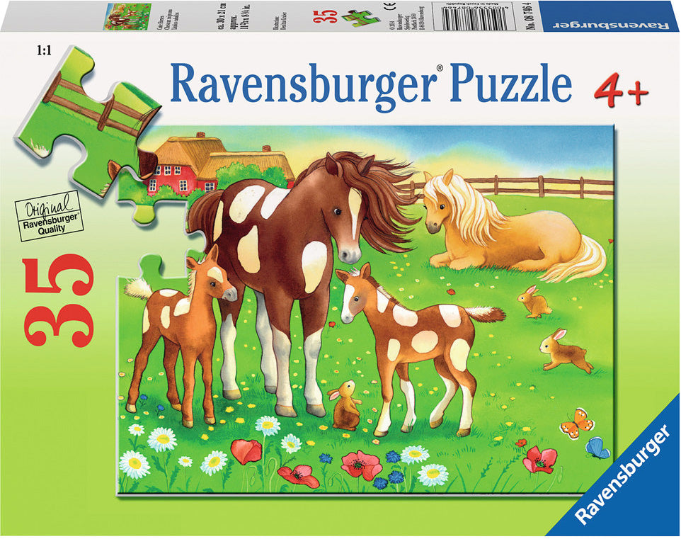 Cute Horses