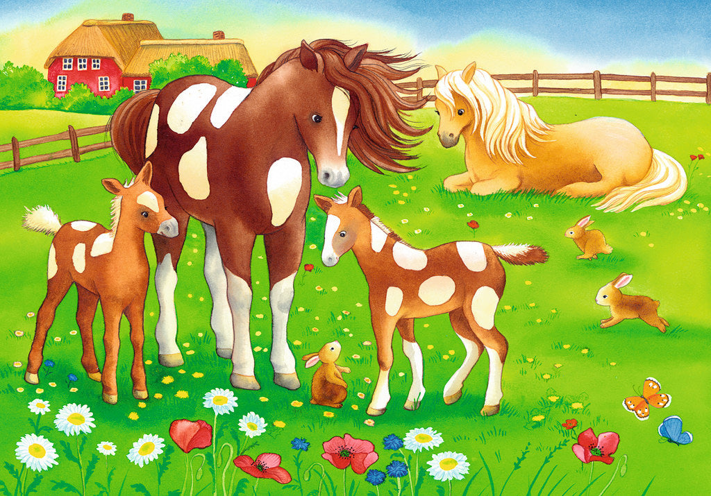 Cute Horses