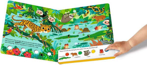 Book Search & Shine: In the Jungle