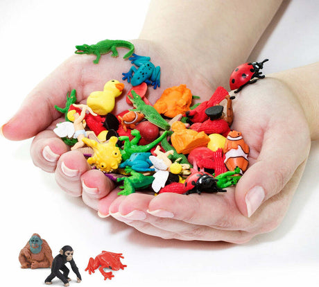 Rainforest Fun Pack