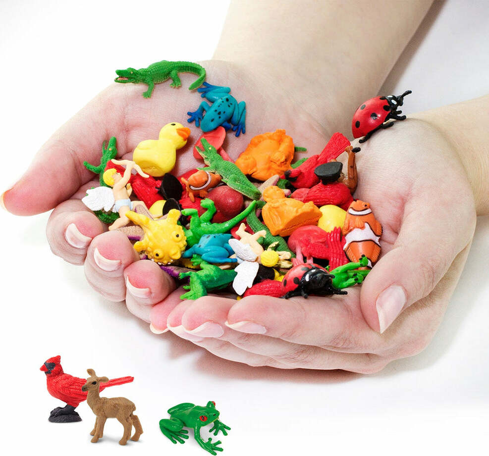Backyard Fun Pack