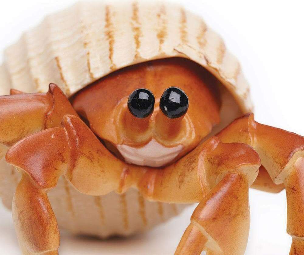 Hermit Crab Toy