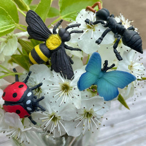 Garden Fun Pack
