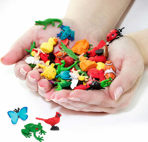 Garden Fun Pack