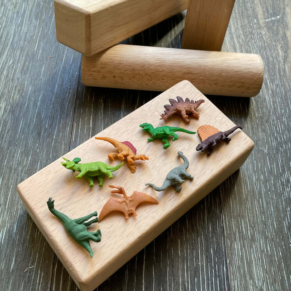 Dino Fun Pack Toy