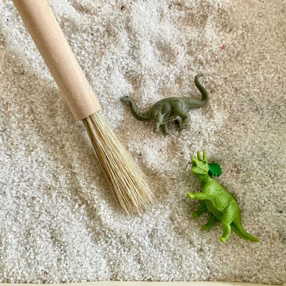 Dino Fun Pack Toy