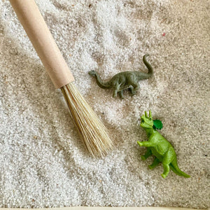 Dino Fun Pack Toy