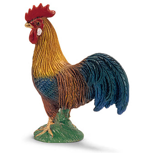 Rooster