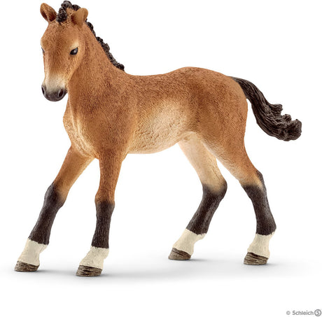 Tennessee Walker Foal