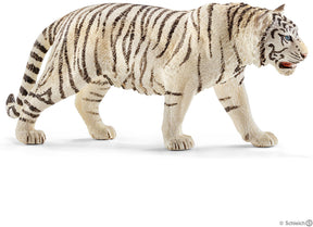 Tiger, White