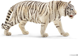 Tiger, White