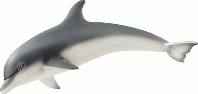 Dolphin