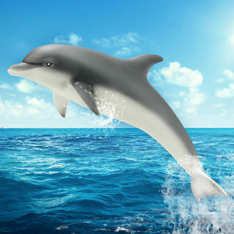 Dolphin