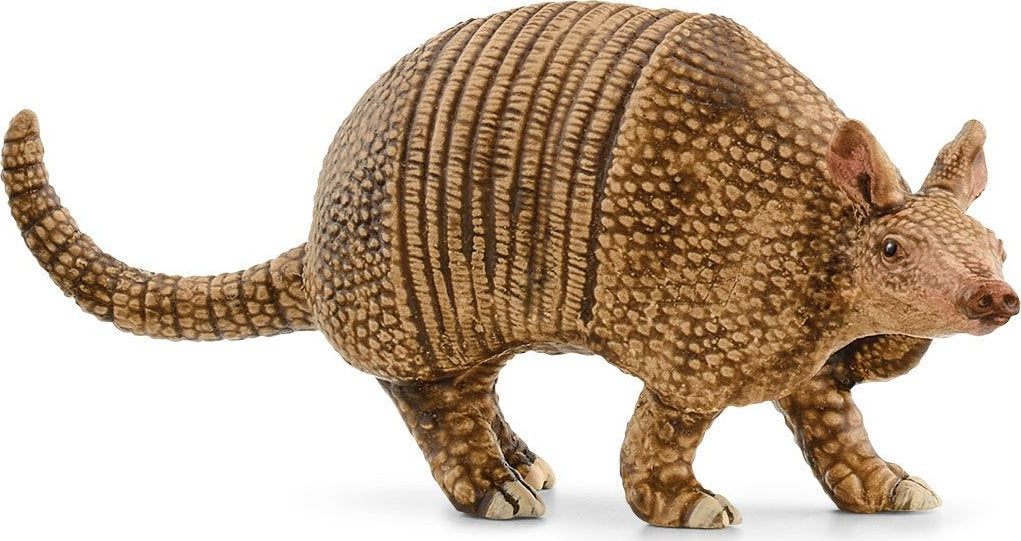 Armadillo