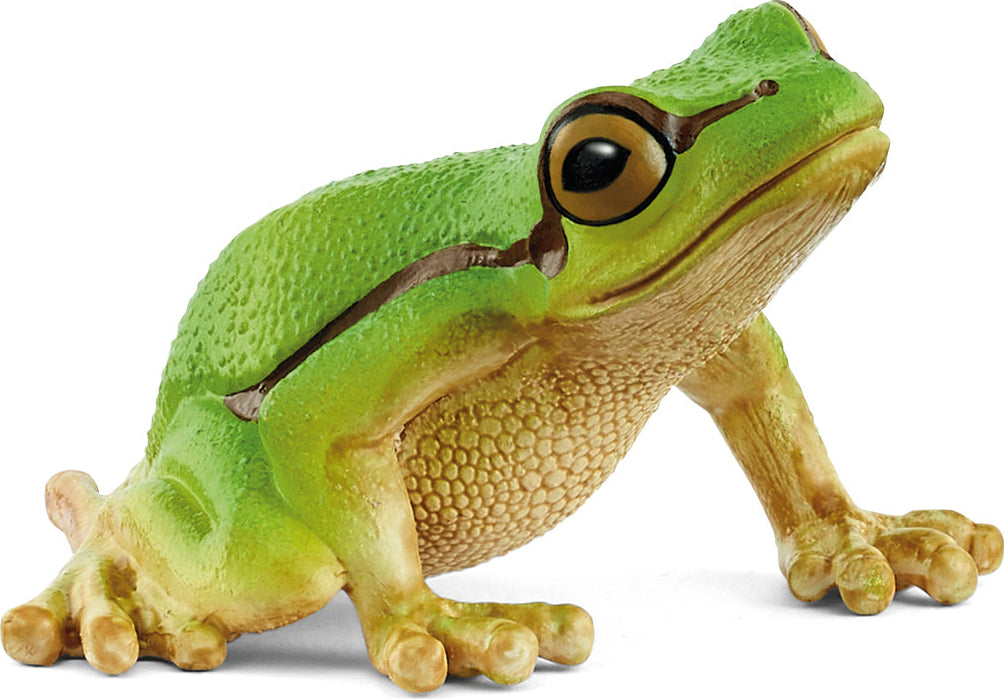 小物 Frog schleich WILD LIFE European Tree Frog - Gingerbread House Toys