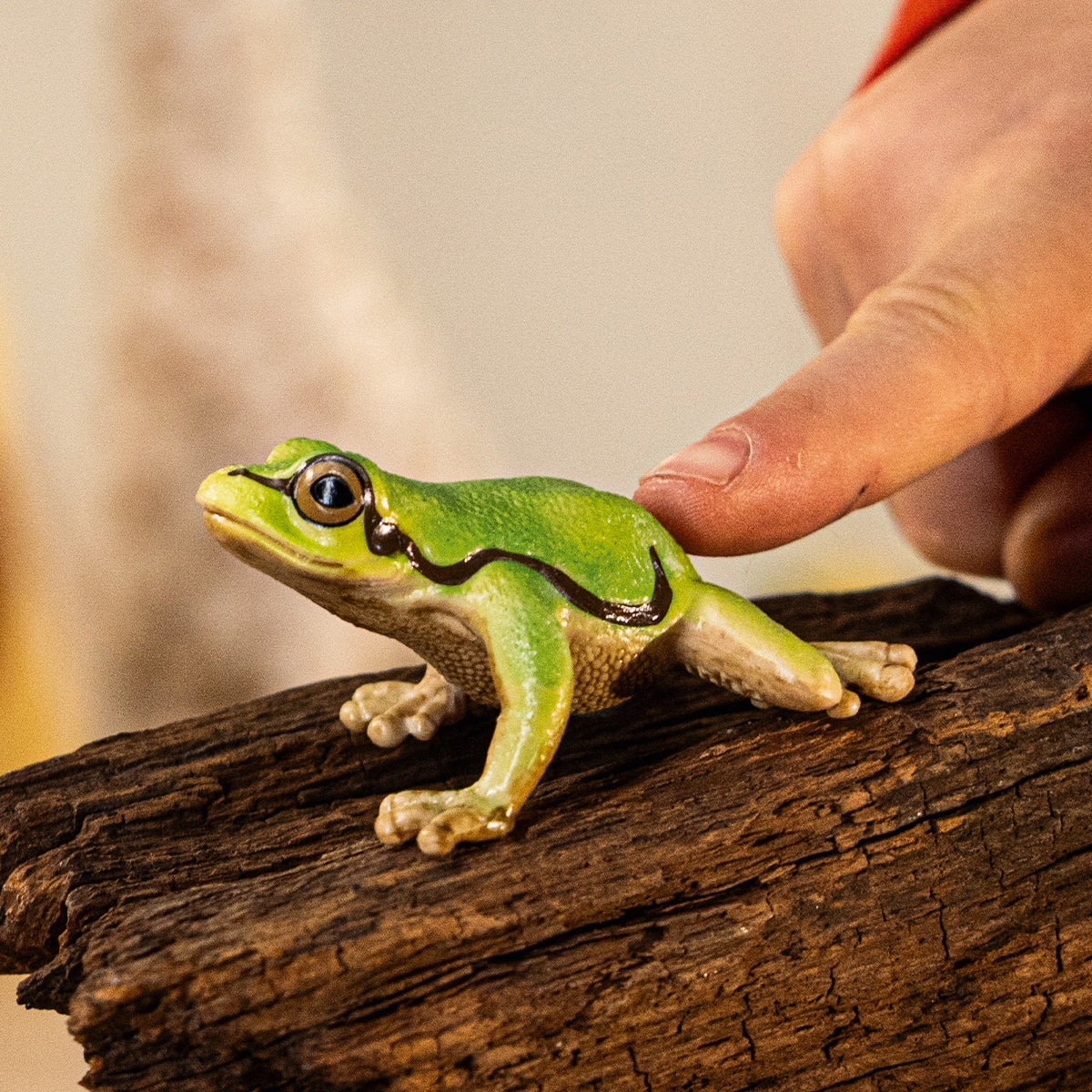 schleich WILD LIFE European Tree Frog - Gingerbread House Toys schleich WILD LIFE European Tree Frog - Gingerbread House Toys