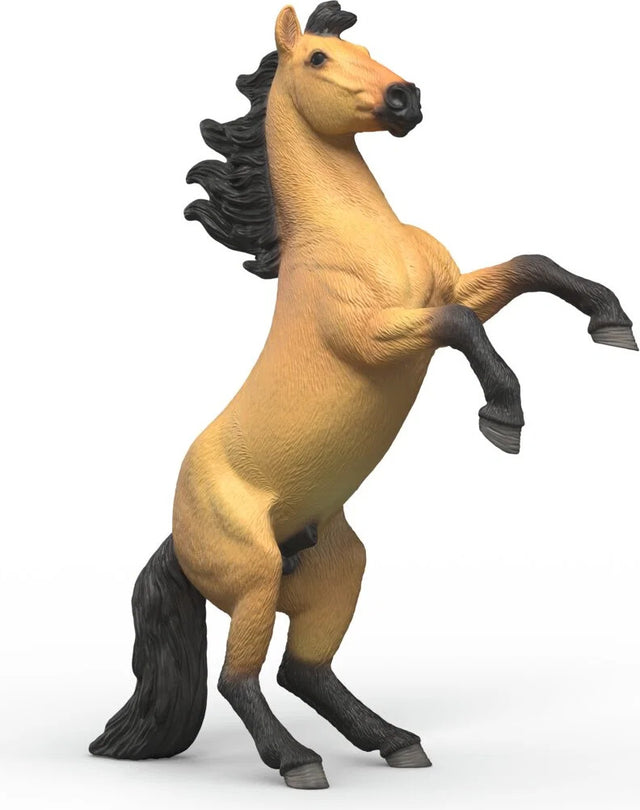 Mustang Stallion