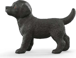 Black Labrador Retriever Puppy