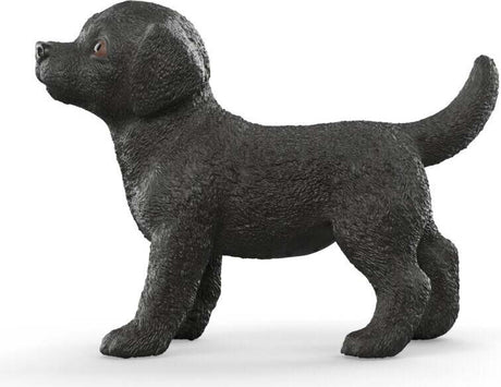 Black Labrador Retriever Puppy