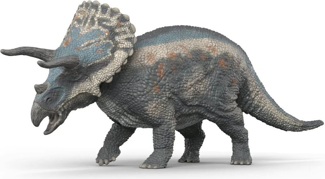 Triceratops