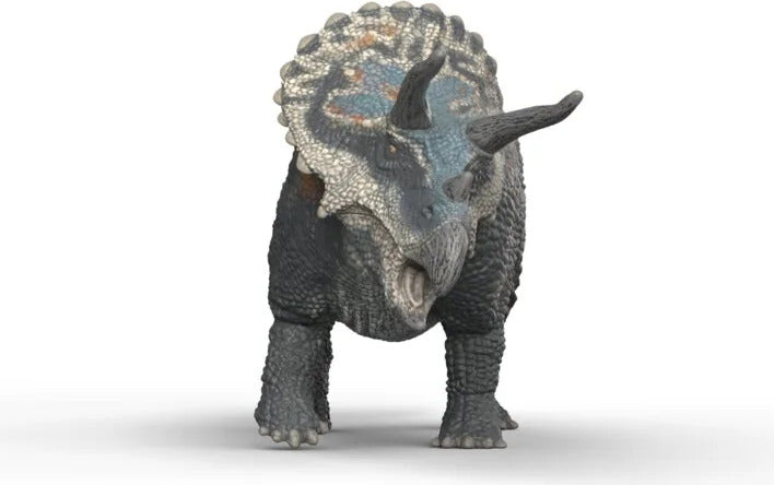 Triceratops