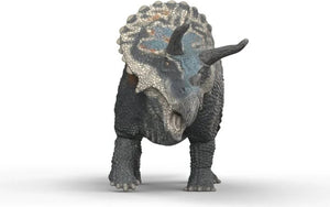 Triceratops