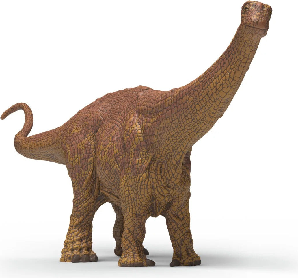 Brontosaurus