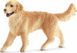 Golden Retriever, Female